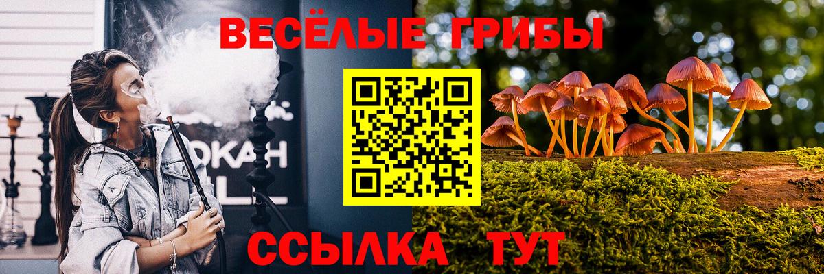 Псилоцибиновые грибы Magic Shrooms Топки