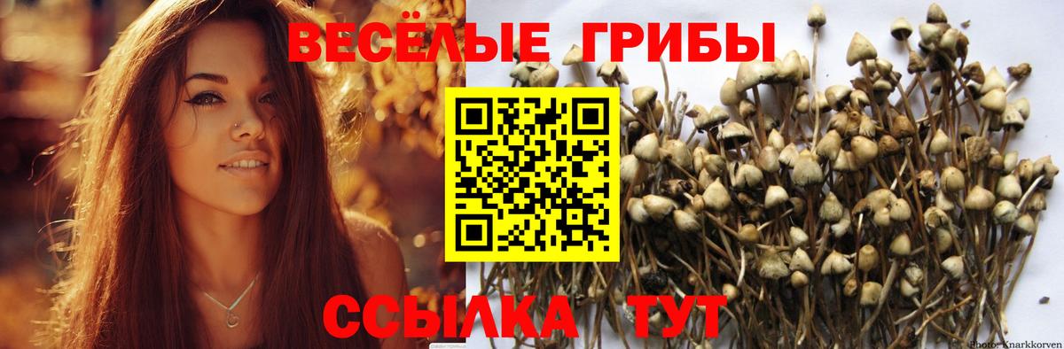 как найти закладки  Псилоцибиновые грибы мицелий  Вход с VPN  Топки 
